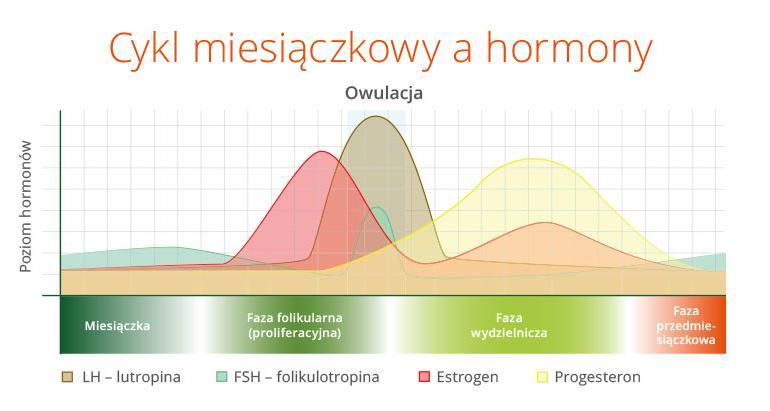 cykl miesiączkowy a hormony